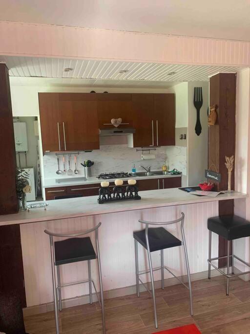 Villa 3 Parking Et Terrasse Plaisance-du-Touch
